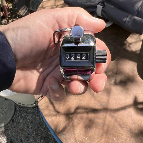 number of salmon released