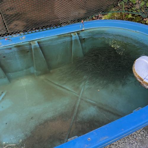 imprint tank